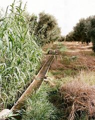 sand to green la start up marocaine qui reinvente l agriculture durable grace a la tech