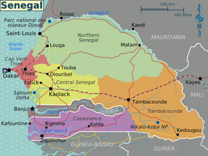 start up le senegal s impose comme le nouveau hub de la tech africaine