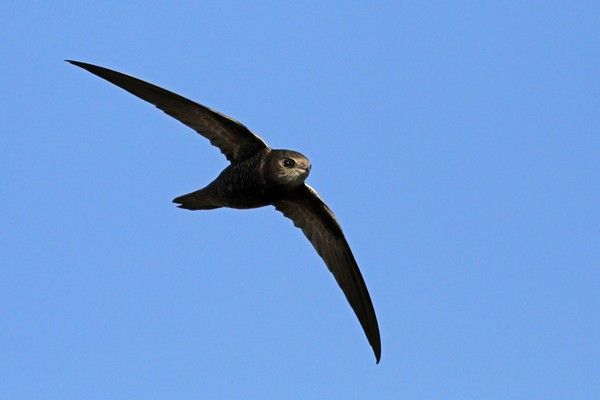 15 startups tunisiennes a nairobi pour les subsahariens