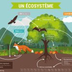 ecosysteme des start up la tunisie se classe 6e en afrique la tunisie figure parmi les ecosystemes de start up les plus dynamiques du continent africain selon le classement mondial global startup ecosystem index 2026 publie par le cabinet specialise star