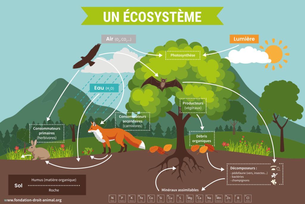 ecosysteme des start up la tunisie se classe 6e en afrique la tunisie figure parmi les ecosystemes de start up les plus dynamiques du continent africain selon le classement mondial global startup ecosystem index 2026 publie par le cabinet specialise star