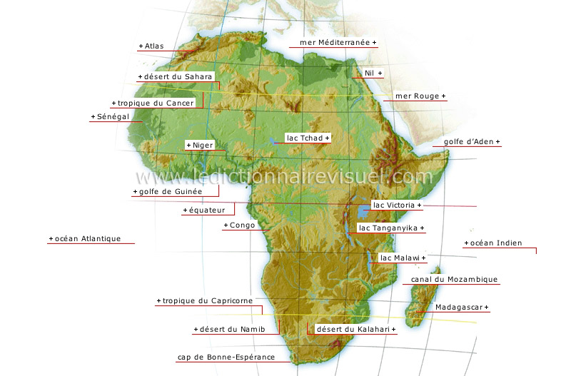 afrique du sud les quatre startups en vogue l afrique du sud est un vivier important de startup la creation de la french tech cape town en est une preuve le pdg de cap innovation technologie le directeur regional de seedstars en afrique et