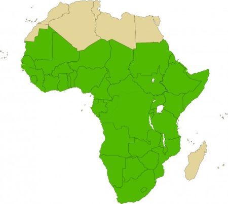 afrique news africa investment forum rendre le continent africain bancable la presse forts du succes des market days de l africa investment forum 2024 qui ont genere 29 2 milliards de dollars d interets d