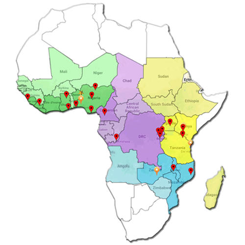 cassava technologies a la conquete du marche technologique africain