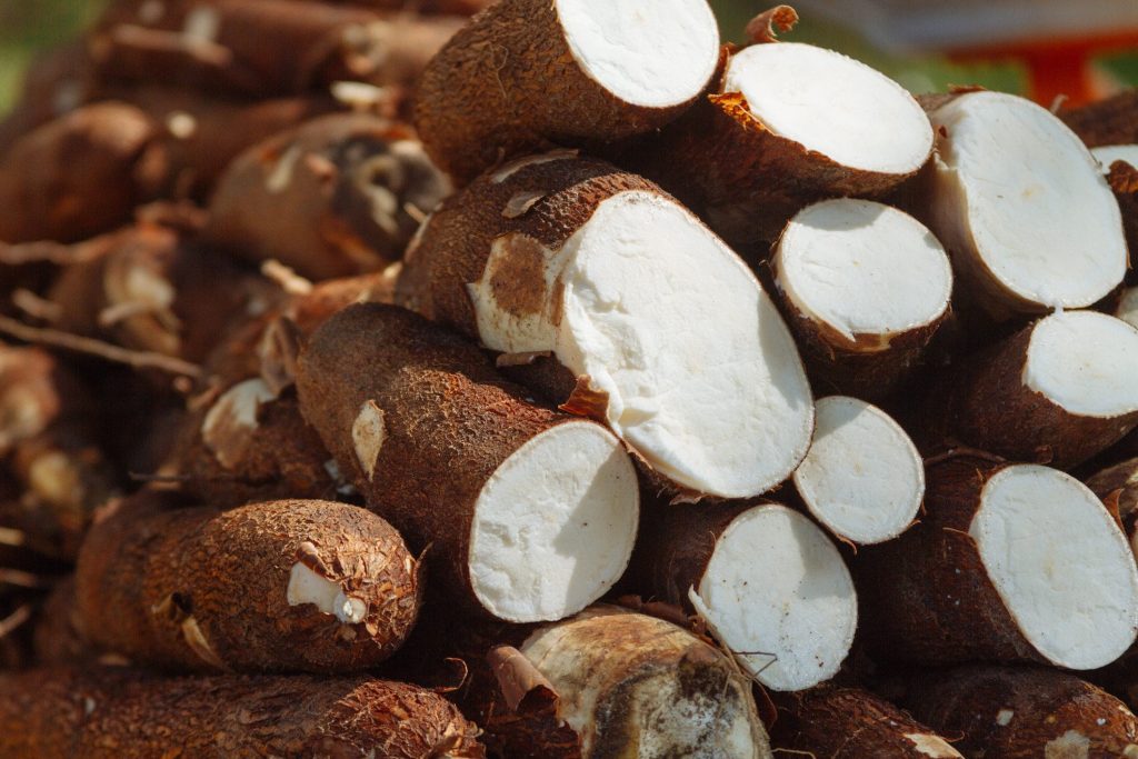 cassava technologies prevoit cinq usines d intelligence artificielle en afrique d ici un an cassava technologies entreprise panafricaine fondee par strive masiyiwa a annonce son intention de construire cinq usines d intelligence artificielle ia sur