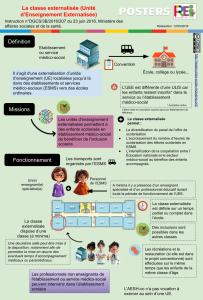 dpo externalise