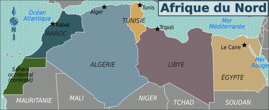 hicham talbi bayer afrique du nord l art d adapter le global au local