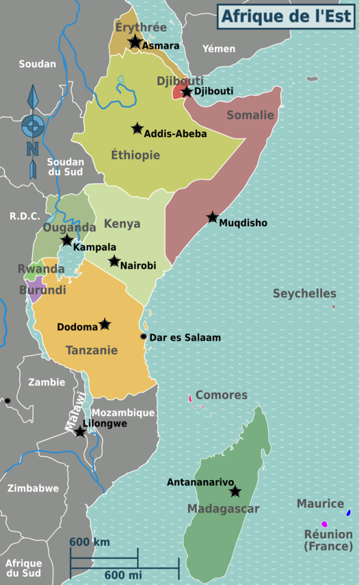 l afrique s ouvre aux start up panorama africain al ahram hebdo