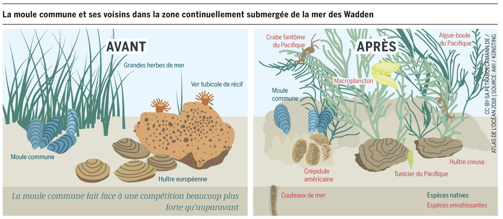 le declin des levees de fonds des startups africaines un tournant dans l ecosysteme