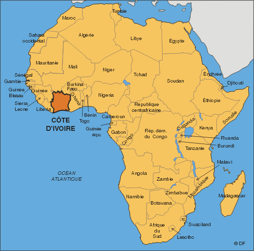 le journal afrique en cote d ivoire un jeune entrepreneur libano ivoirien s est specialise dans la production la transformation et la commercialisation des larves blanches du palmier un insecte d une valeur
