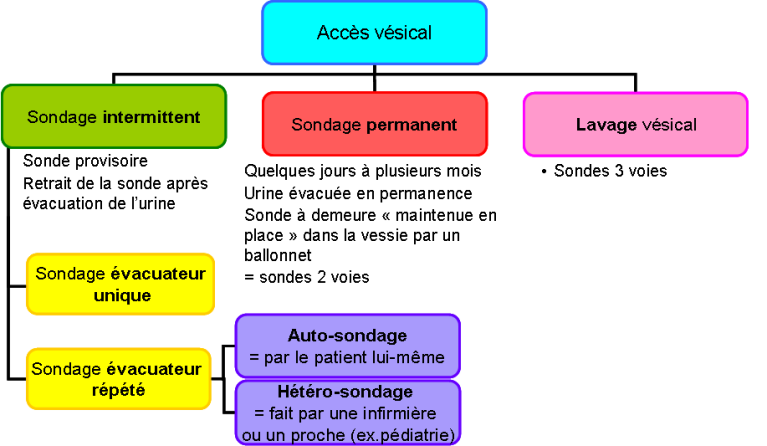 oncorad group realise une premiere implantation robotique d un sphincter urinaire en afrique
