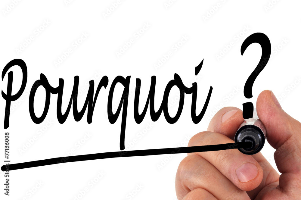pourquoi 10 startups sur 12 finiront elles par etre rachetees en afrique a l occasion de la premiere edition de lebridge 25 organisee par la chambre tuniso francaise de commerce et d industrie le 15 decembre 2025 a tunis mohamed ali lakhoua directeur chez africinvest a
