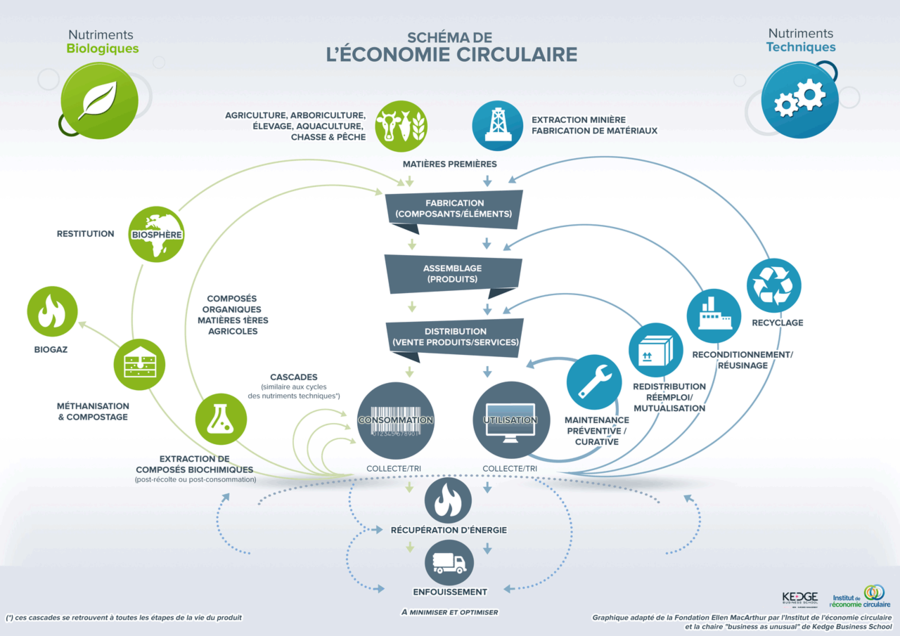 pourquoi le maroc appelle a la creation d un fonds special pour l economie bleue en afrique cette feuille de route affiche l ambition de faire du secteur halieutique un veritable levier de developpement economique et social durable fort de sa vocation halieutique historique le long de ses 3
