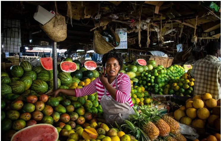scale une societe sud africaine leve 700 000 xnumx dollars et vise une expansion au kenya et en zambie