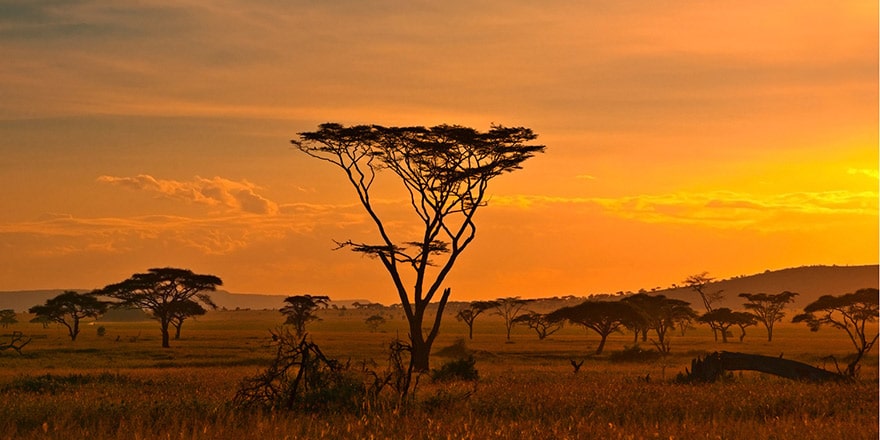 sept start up africaines pionnieres de la tech mondiale