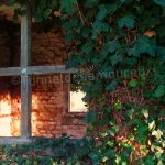 startups l operateur orange inaugure son premier centre digital en tunisie le geant francais des telecoms orange a ouvert cette semaine en tunisie son premier centre digital d afrique et du moyen orient denomme orange digital center ce centre couvre un large champ