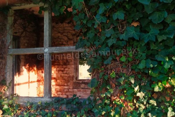 startups l operateur orange inaugure son premier centre digital en tunisie le geant francais des telecoms orange a ouvert cette semaine en tunisie son premier centre digital d afrique et du moyen orient denomme orange digital center ce centre couvre un large champ