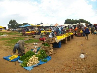 taager choisit le maroc pour transformer ses vendeurs en entrepreneurs