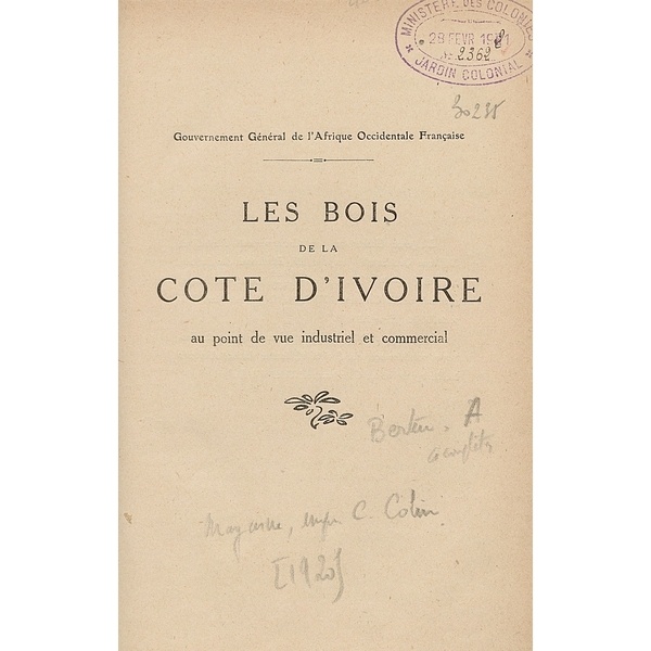 tech la cote d ivoire sur le point de surpasser le senegal